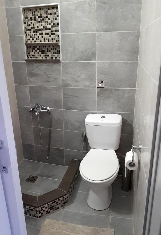 Apartment Anesi To Rent Ancient Olympia